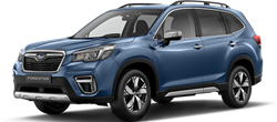 Model Forester Eboxer Horizon Blue Pearl Summit